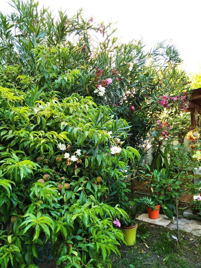 Villa Alekos لايميناس المظهر الخارجي الصورة