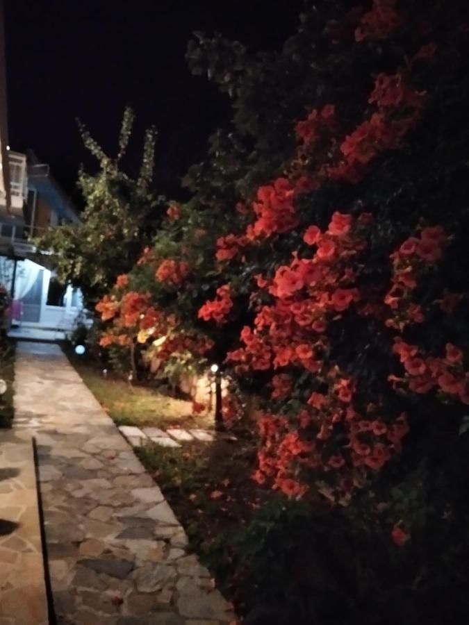 Villa Alekos لايميناس المظهر الخارجي الصورة